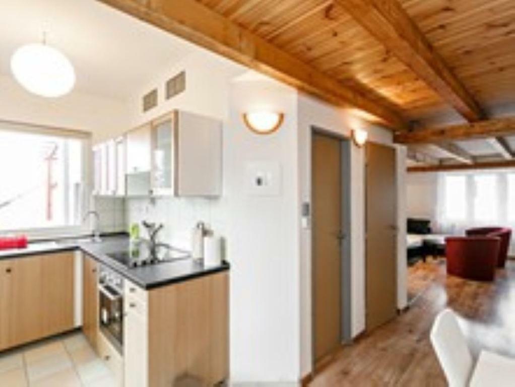 Apartment ,,rokytka